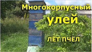 Многокорпусный улей  - видео пчеловодство(ПЧЕЛОВОДНАЯ ЭКИПИРОВКА И ИНСТРУМЕНТЫ для пчеловодства из КИТАЯ - http://aliexpress.beadsky.com - бесплатная доставка!..., 2014-08-03T12:45:34.000Z)