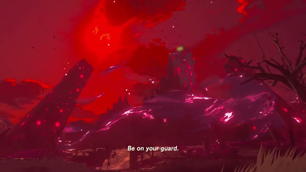 Legend of Zelda: Breath of the Wild #8 | Nami Nation [8]