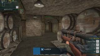 AVA RyuShin* 2on5 4kill