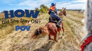 Endurance Horse Riders Hacking With Horses In Hunting Season Are We Crazy?