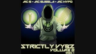Strictly Vybz Volume 2 CD 1 Track 11 Warrior