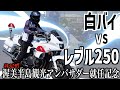 【白バイドッキリ】レブル250でライスクいったらハメられた