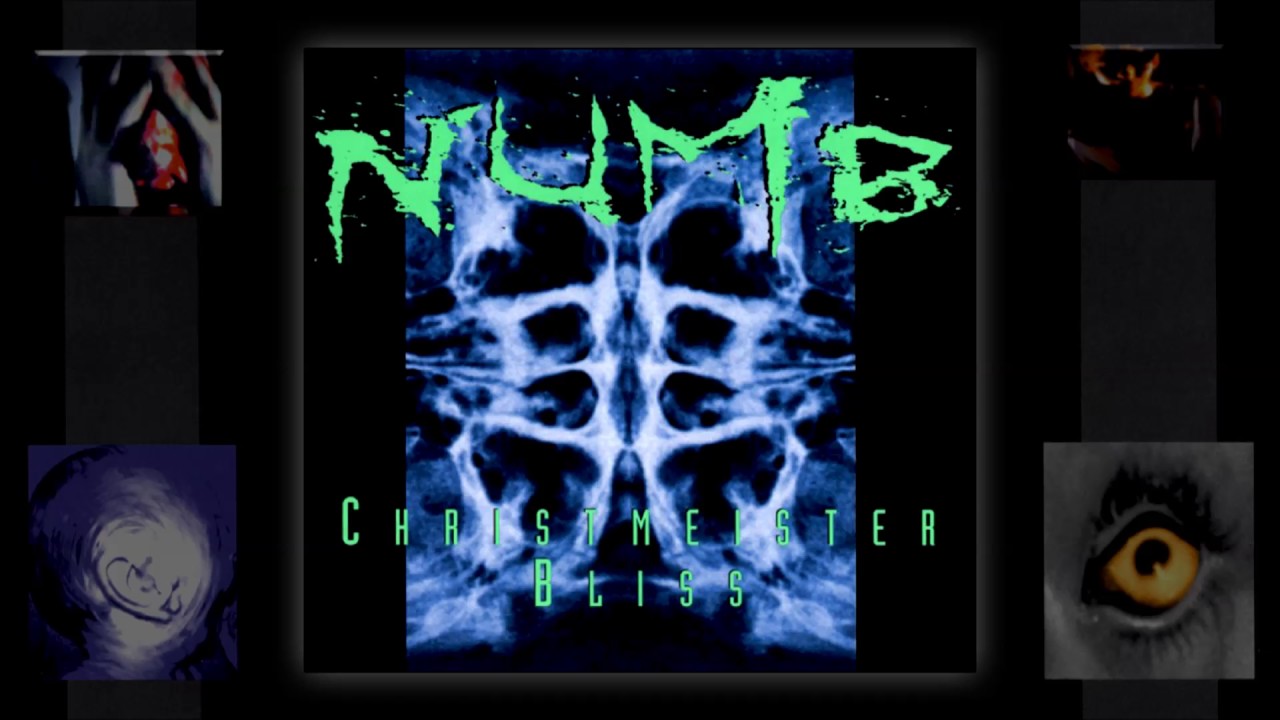 Watch NUMB - Flesh on YouTube Watch NUMB - Flesh on YouTube
