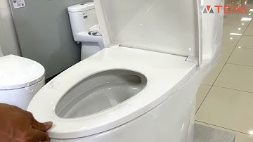 TDM.VN | Hướng dẫn cách lắp đặt nắp bồn cầu American Standard WP-C162 (WPC162, VF-2162, VF-1862)