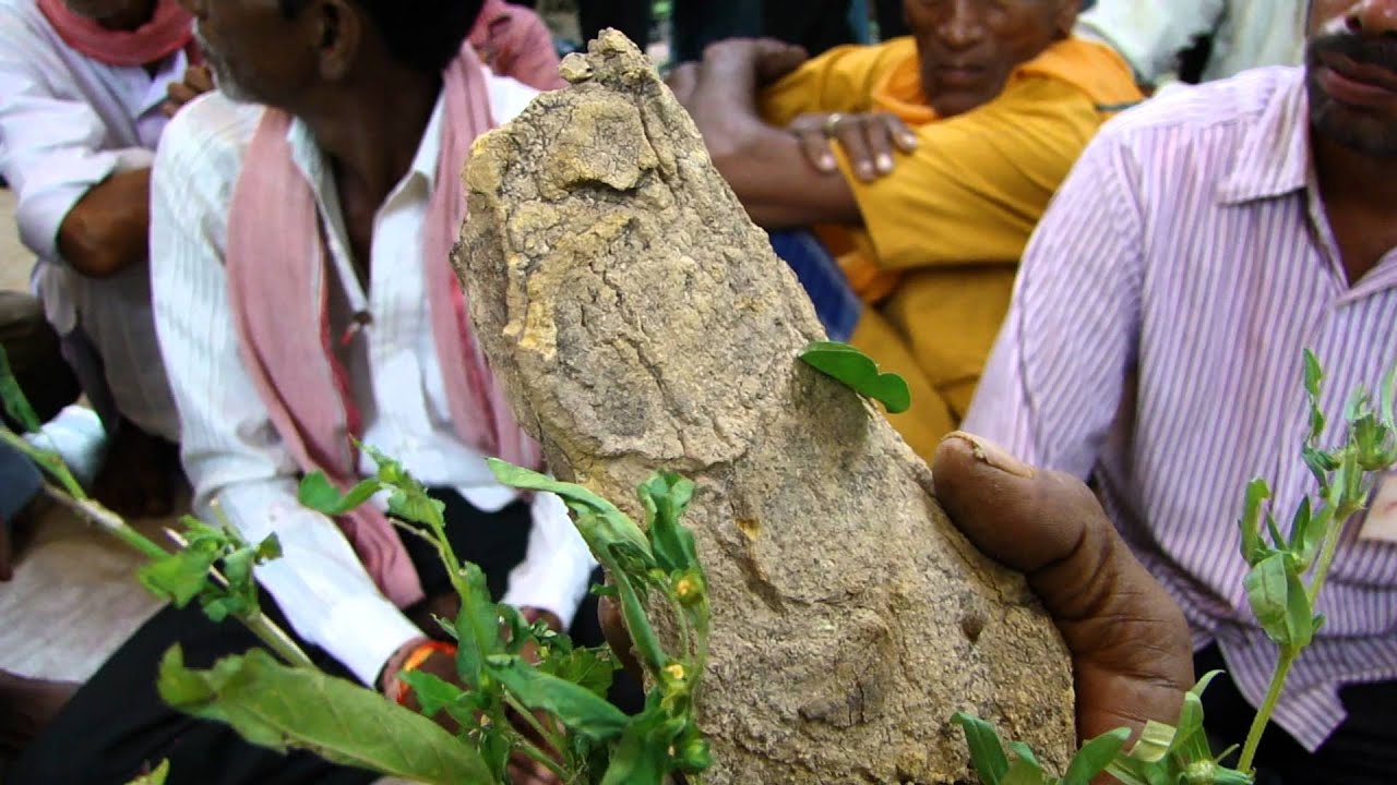 Octony Octonary Ingredients of Saponaria vaccaria Formulations: Pankaj Oudhia ...