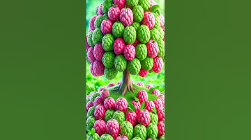 Easy and fast method for growing and planting custard apple fruit trees using stem grafts #gardening