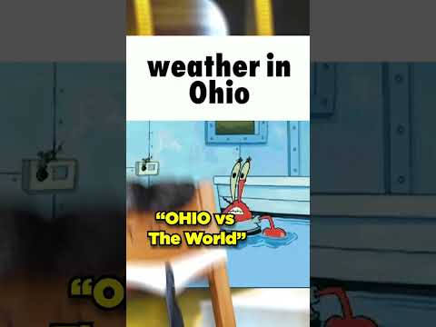 Video: Che tipo di alberi ci sono in Ohio?