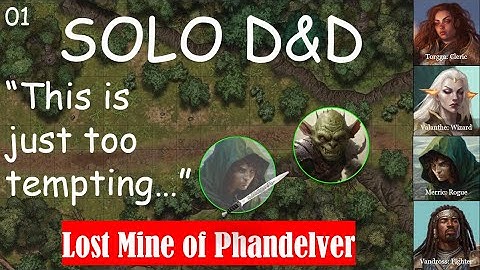 Ep.1 "Meet me in Phandalin" Solo D&D playthrough: Lost Mine of Phandelver