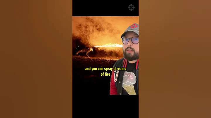 $10,000 Robot Dog Flamethrower is somehow legal in 48 states. #flamethrower #robot #dog #fire