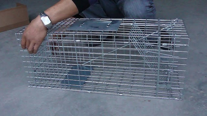 Humane Small Live Animal Trap Control Steel Cage 32x12.5x12 Raccoon  Skunk Cat