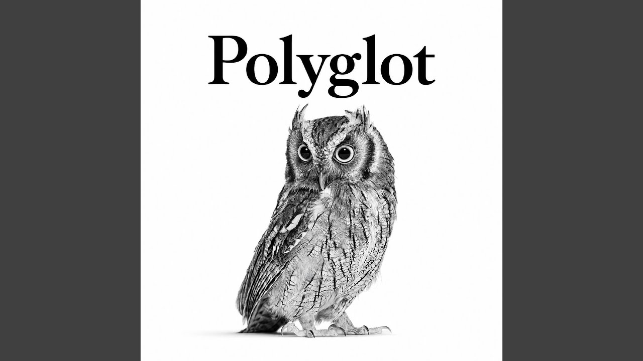 Mira Polyglot en YouTube Mira Polyglot en YouTube