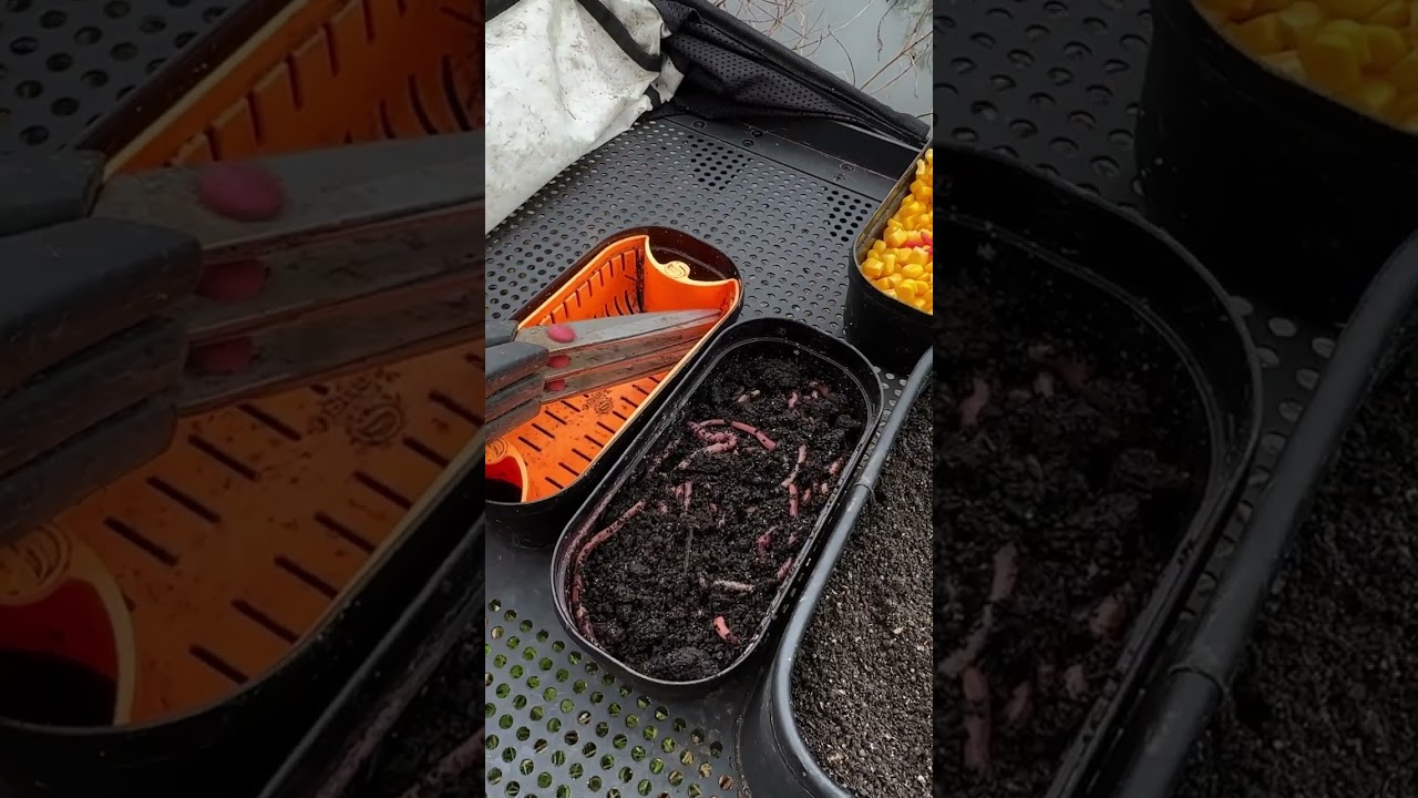 Choix des appâts à retrouver dans le dernier Vlog de Baptiste.