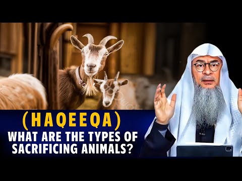 Aqiqah Animal Requirements