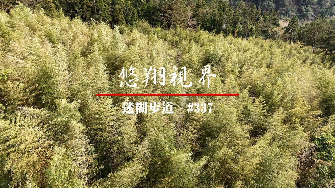悠翔視界#337 - 迷糊步道