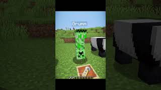 Minecraft Secret Nametags Lagva Moment