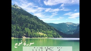 (فَقُلْتُ اسْتَغْفِرُوا رَبَّكُمْ إِنَّهُ كَانَ غَفَّارًا)//القارئ اسلام صبحي 💕🌱