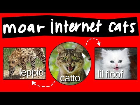 catto-chart---part-2