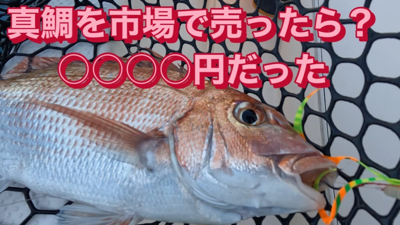 『漁師ごっこ』釣った魚を市場に売りに行きました！