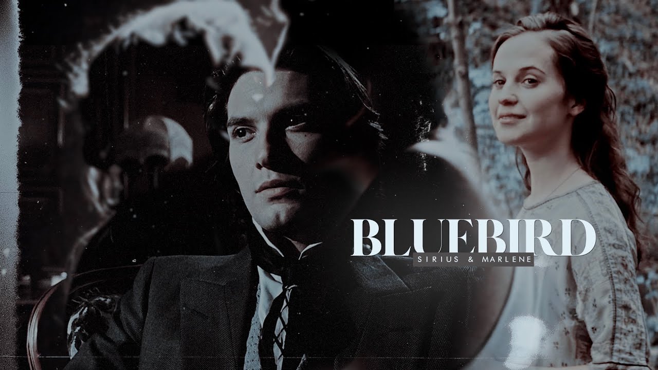 sirius & marlene • bluebird