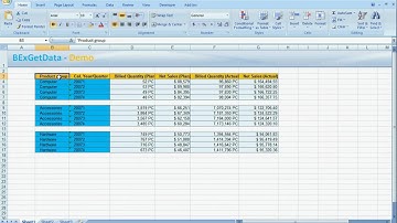 SAP(r) BW Excel Analyzer - BExGetData Demo