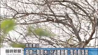 20150331 公視暗時新聞