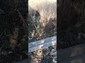 бета