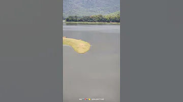 Part 3 Try To Protect D Nature Nature Will Repay U Thenidivshepzi Naturelover Naturevideo 