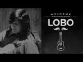 Lobo - Stoney (Live) Mp3 Song