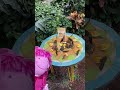 🦋 PINKALICIOUS Explores the Butterfly Biosphere! Butterfly Museum Part 2