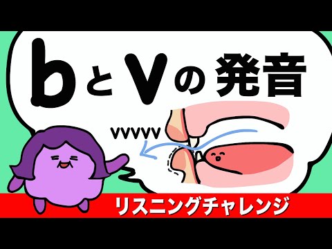 bとvの発音 英語のリスニングチャレンジ bとvの違いが聞き取れるかな？英単語 obviousの発音[#177]