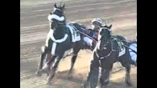 WIGGLE IT JIGGLEIT (1:49:3) THE 70th LITTLE BROWN JUG. Sept 24,2015