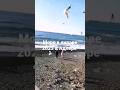 Море Адлер январь 2023