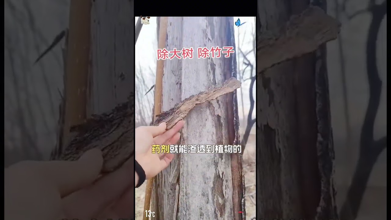 People No one is unworthy of anyone else. A bag of salt that costs two yuan can go well wi