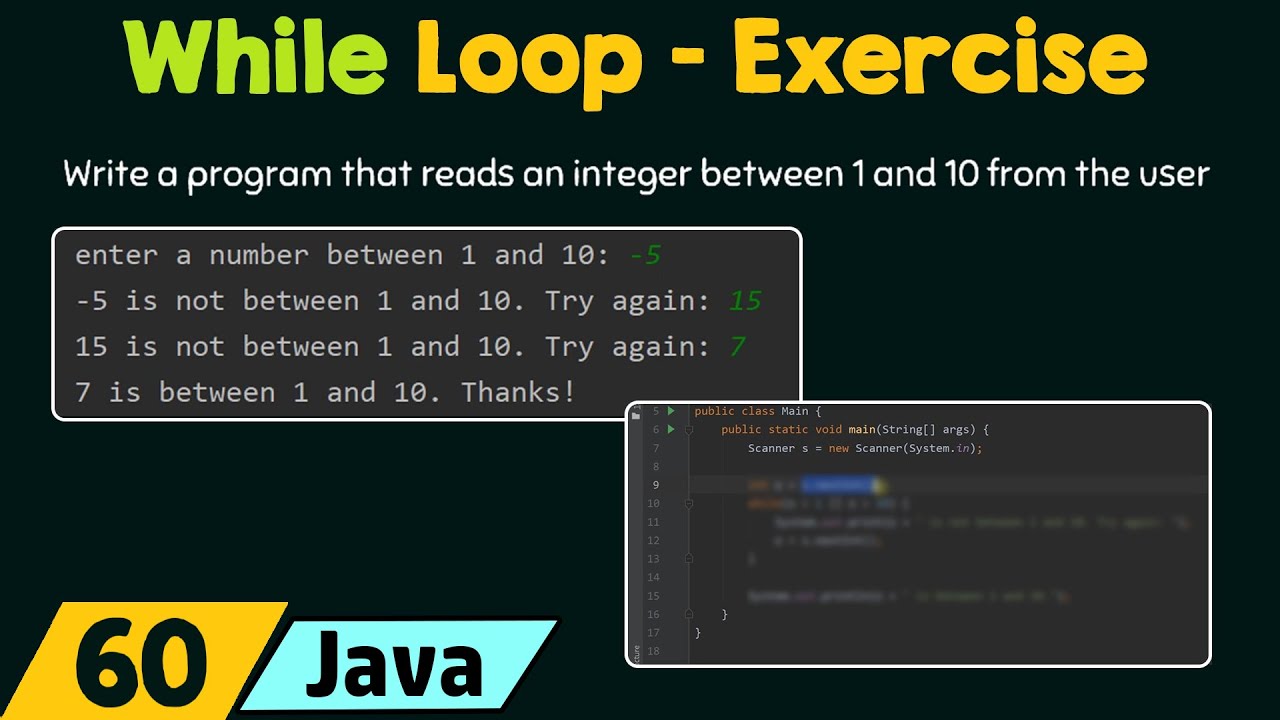 While Loop Exercise Youtube