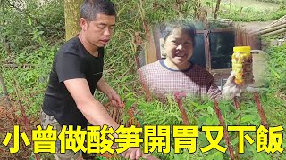 天氣暖和山裡金竹筍猛長，老羅一會兒就摘滿一籮筐，小曾用做酸竹筍好吃又開胃！ 【侗家老羅】