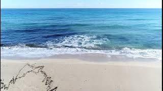 Video Background Ombak Pantai No Copyright (Tanpa Suara)