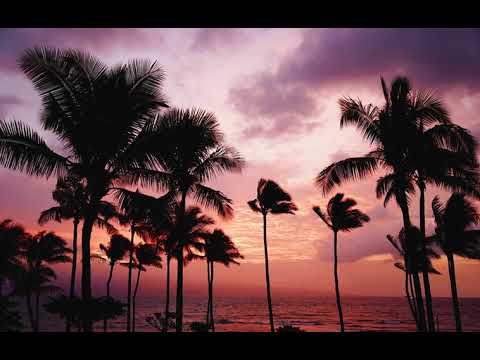 10hours Dulcinea Steve Adams Relaxing Music 