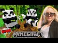 ПАНДА СТРИЙМ- MInecraft, Fortnite, Brawl Stars