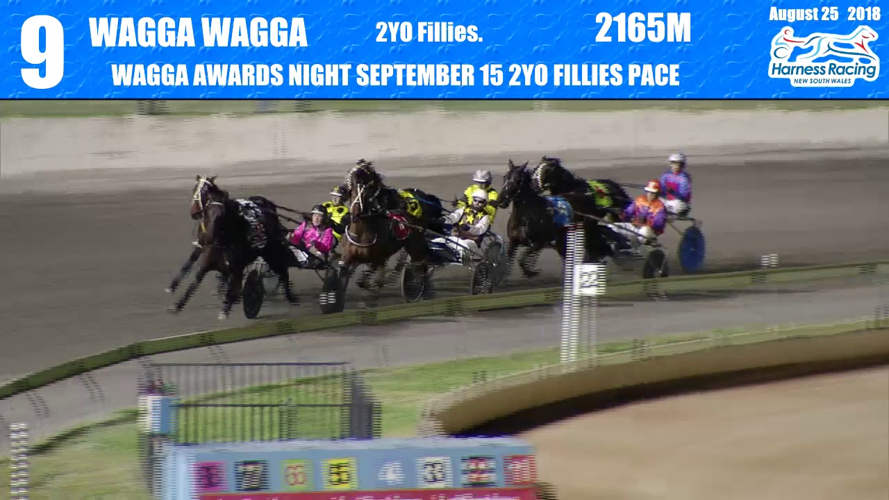 WAGGA - 25/08/2018 - Race 9 - WAGGA AWARDS NIGHT SEPTEMBER 15 2YO ...