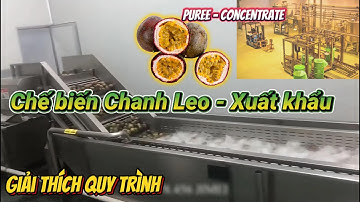 Quy trình sản xuất chanh leo cô đặc xuất khẩu | Dây chuyền chế biến công nghiệp tiêu chuẩn quốc tế