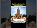 महाबोधि महाविहार मंदिर मुक्ति आंदोलन || #buddha #buddhism #gaya #bodhgaya #ambedkar #constitution