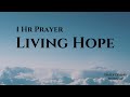 Living Hope 1 Hour Piano Instrumental Scriptures Peace Presence Prayer Relax Sleep Living Hope 1 Hour Piano Instrumental Scriptures Peace Presence Prayer Relax Sleep