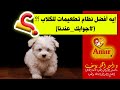 تطعيمات الكلاب 