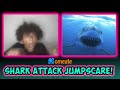 Shark Attack Jumpscare on OMEGLE!