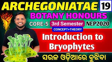 Introduction to bryophyte|botany hons core5|bsc 3rd semester botany honours|botany hons|core5 botany