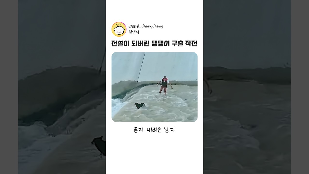 전설이 되버린 댕댕이 구출작전