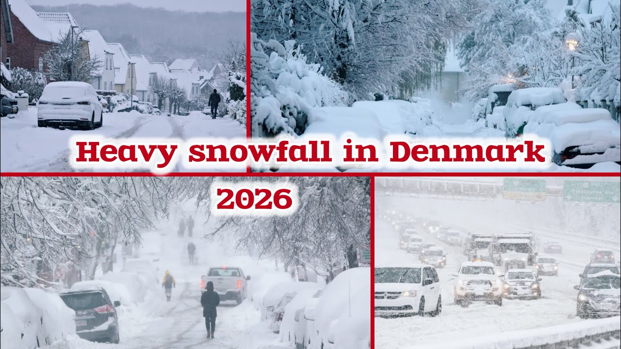 Heavy snowfall in Denmark 🇩🇰 | how to survive in Denmark in winter ❄️ |