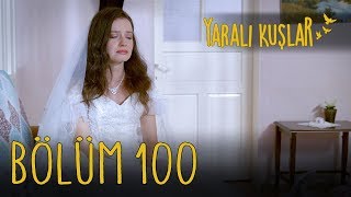 Yaralı Kuşlar 100. Bölüm