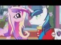 Cadence Shining Armor: Bi Rain Lil Jon and Ai - Too Much