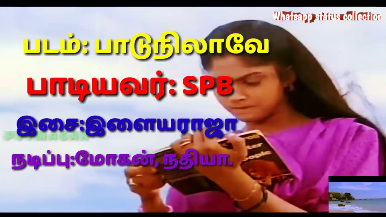 Malaiyoram veesum katru sad song lyrics - YouTube